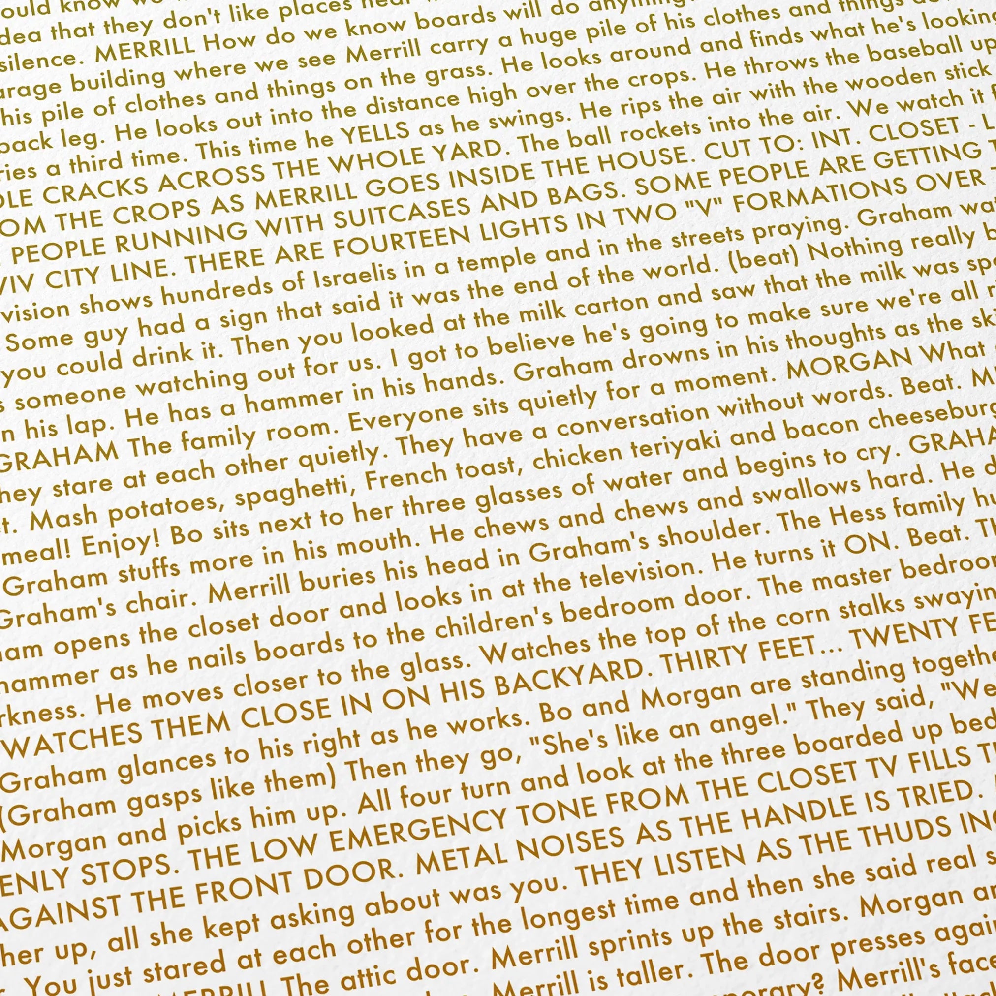 Close-up detail of the Signs movie script poster showing dense typographic text.