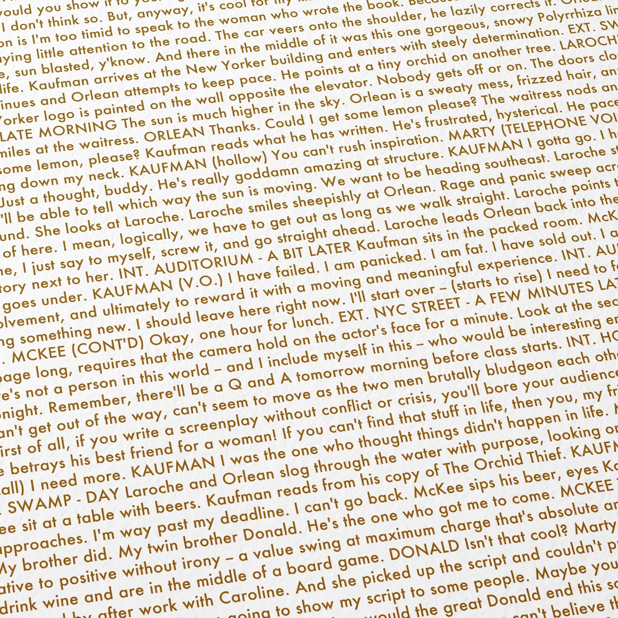 Close-up detail of the Adaptation. movie script poster showing dense typographic text.