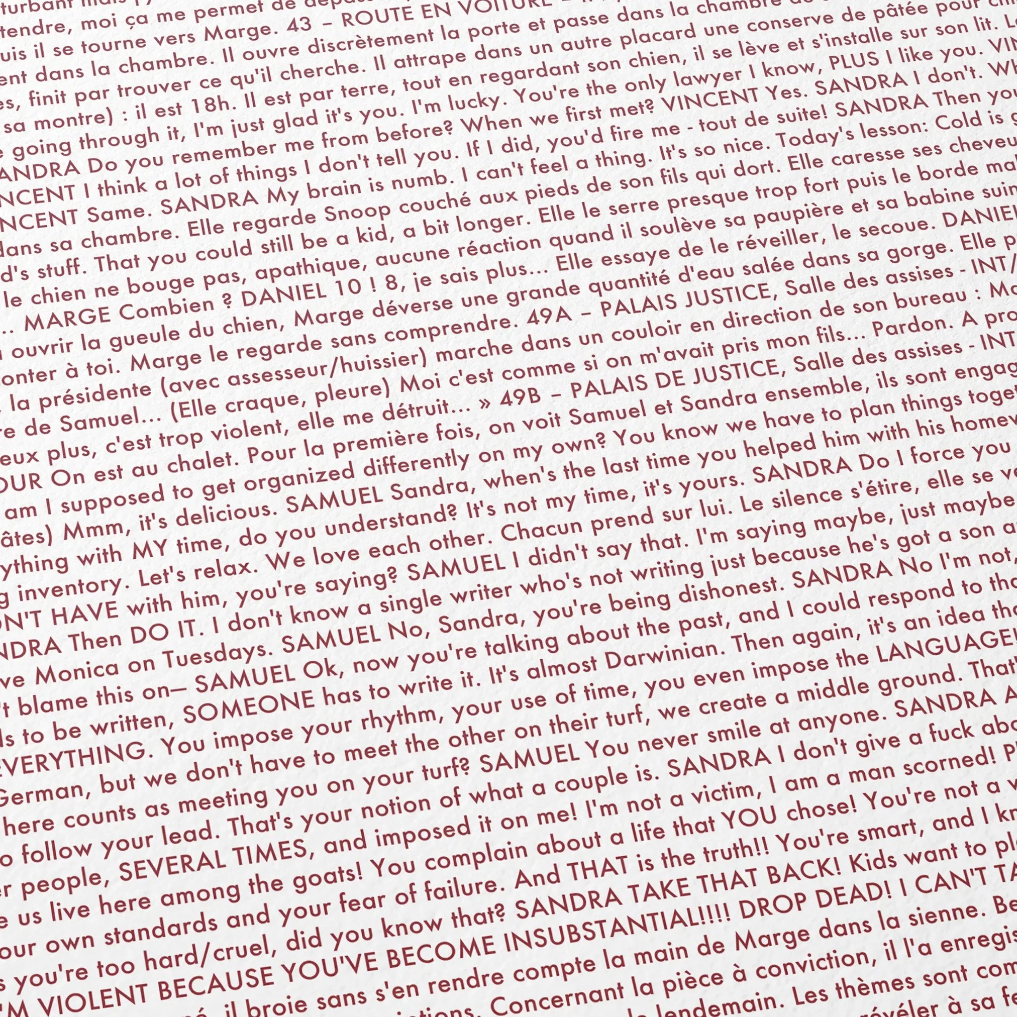 Close-up detail of the Anatomy of a Fall movie script poster showing dense typographic text.