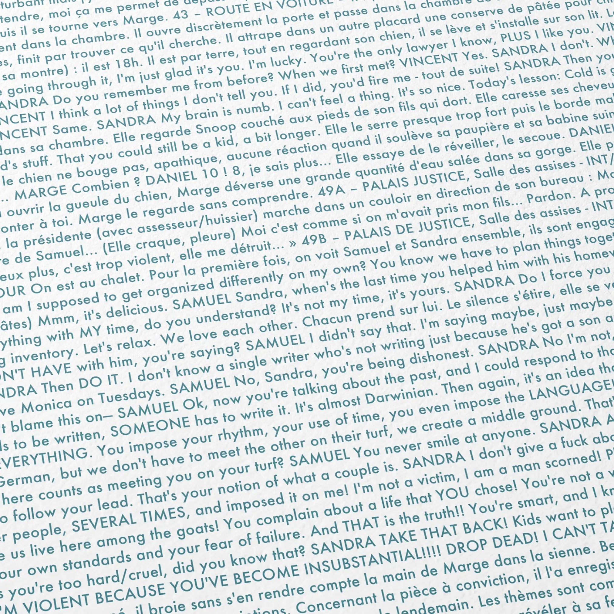 Close-up detail of the Anatomy of a Fall movie script poster showing dense typographic text.