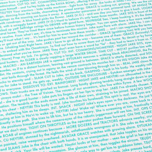 Close-up detail of the Avatar movie script poster showing dense typographic text.