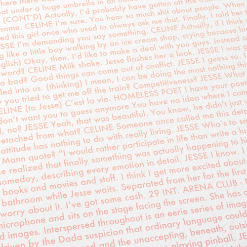 Close-up detail of the Before Sunrise movie script poster showing dense typographic text.