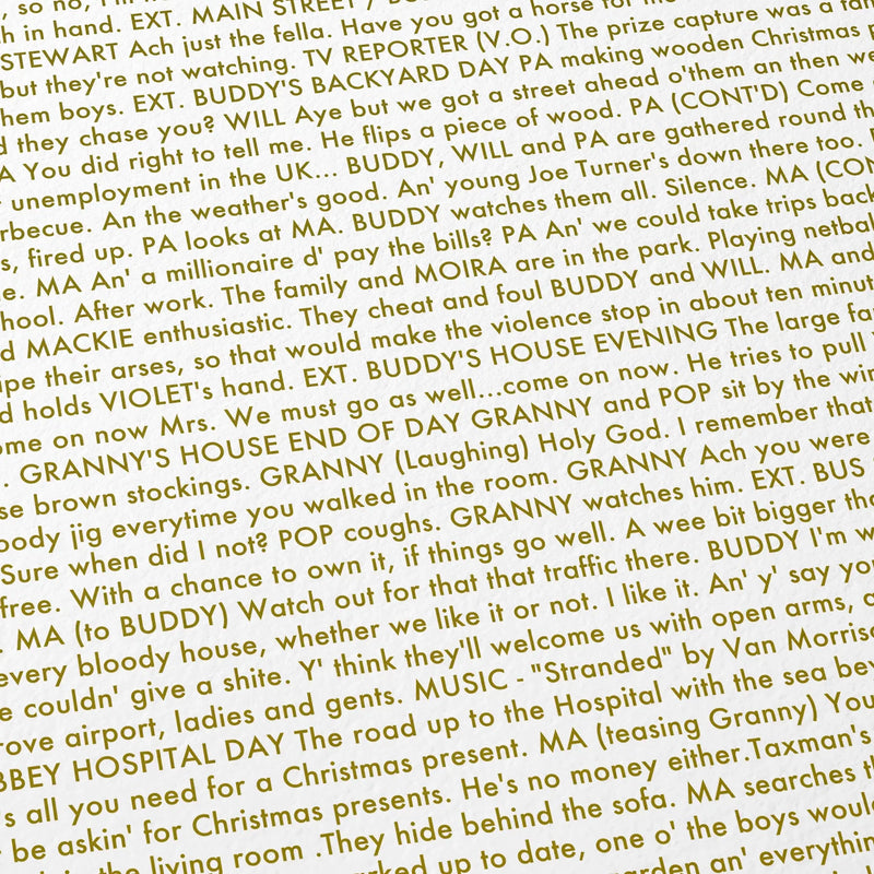 Close-up detail of the Belfast movie script poster showing dense typographic text.
