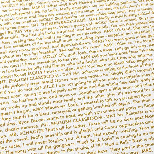 Close-up detail of the Booksmart movie script poster showing dense typographic text.