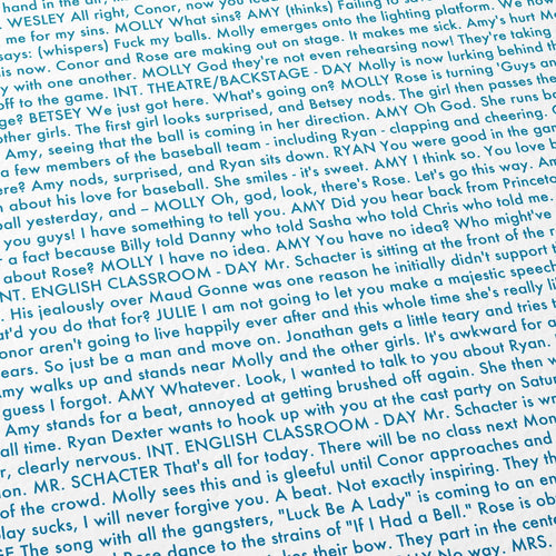 Close-up detail of the Booksmart movie script poster showing dense typographic text.