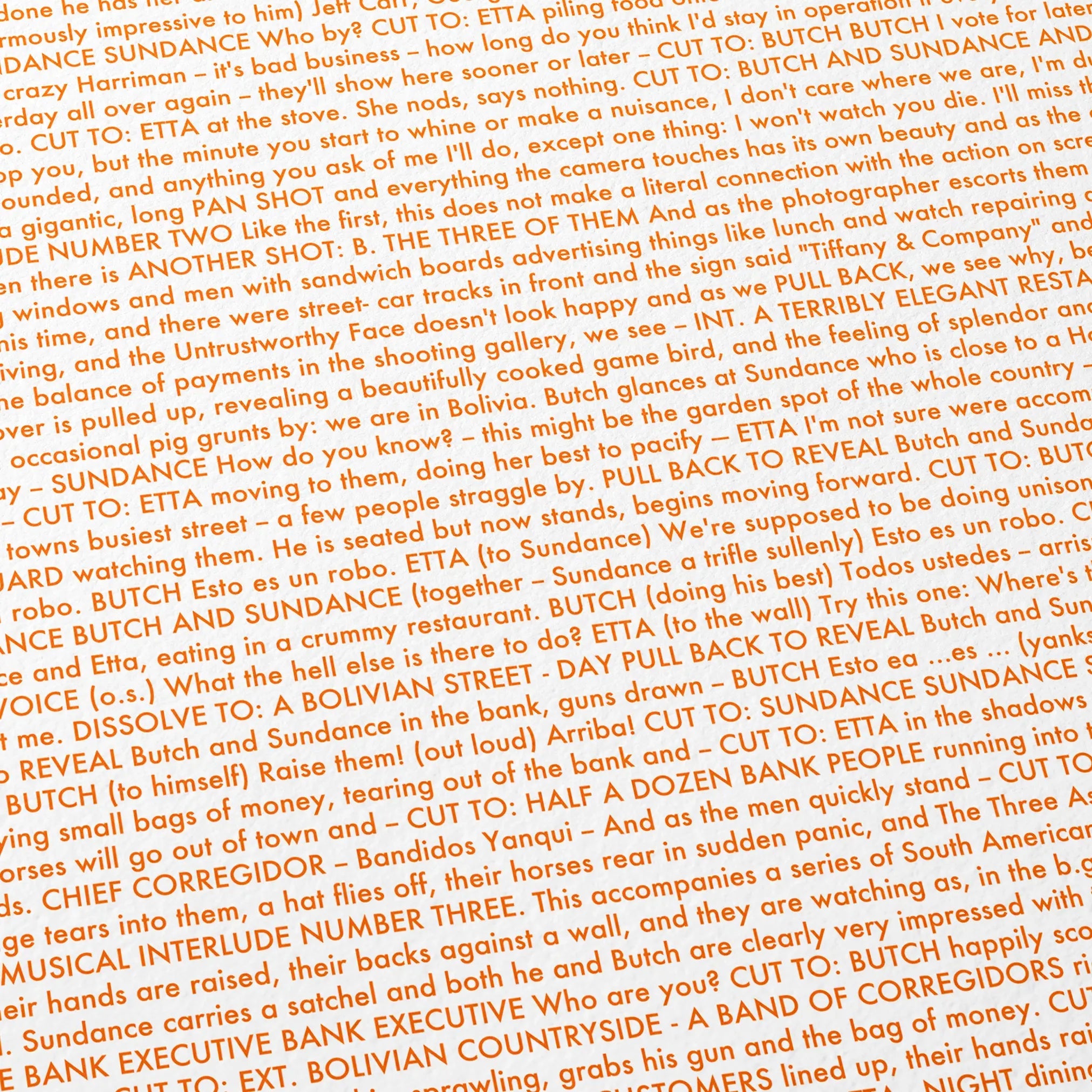 Close-up detail of the Butch Cassidy and the Sundance Kid movie script poster showing dense typographic text.
