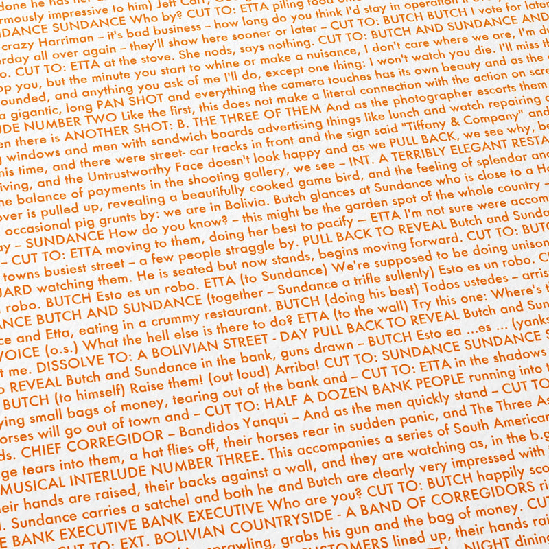 Close-up detail of the Butch Cassidy and the Sundance Kid movie script poster showing dense typographic text.