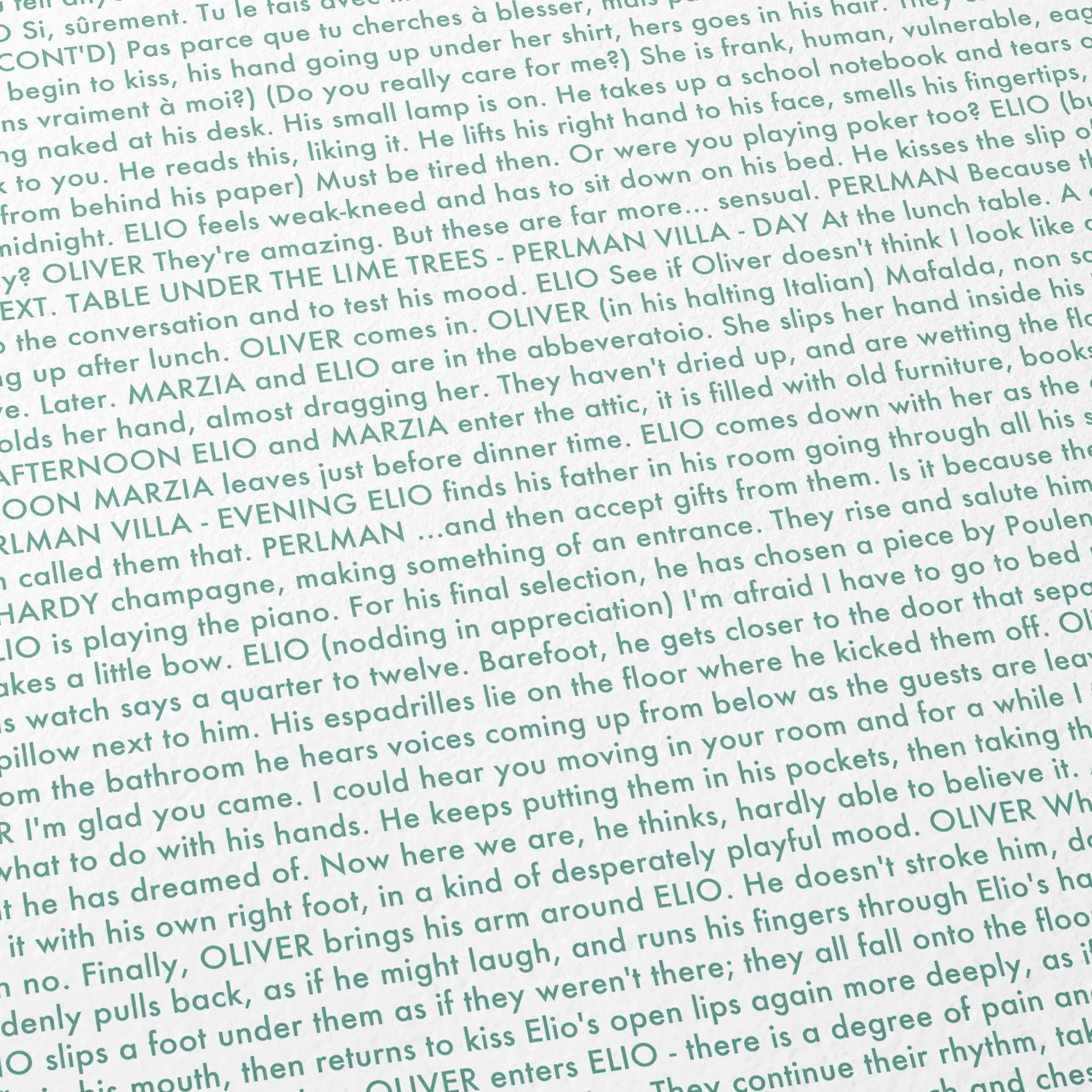 Close-up detail of the Call Me by Your Name movie script poster showing dense typographic text.