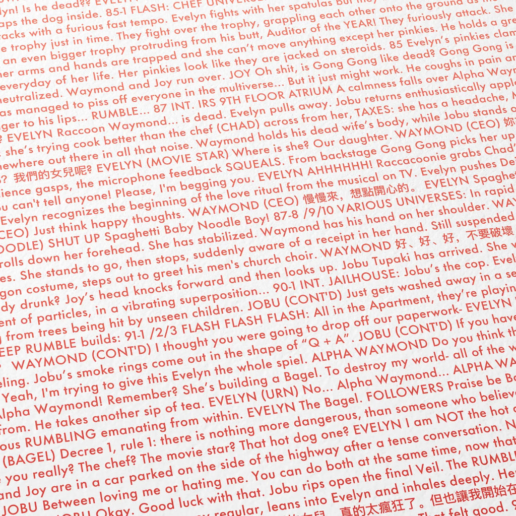 "Everything Everywhere  All At Once" script detail