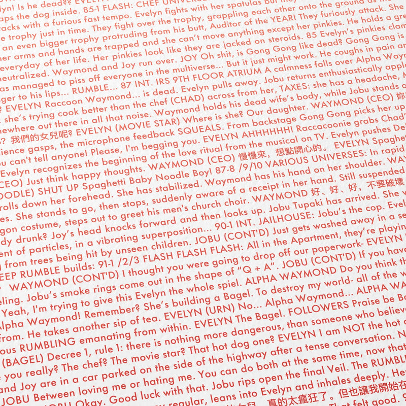 "Everything Everywhere  All At Once" script detail