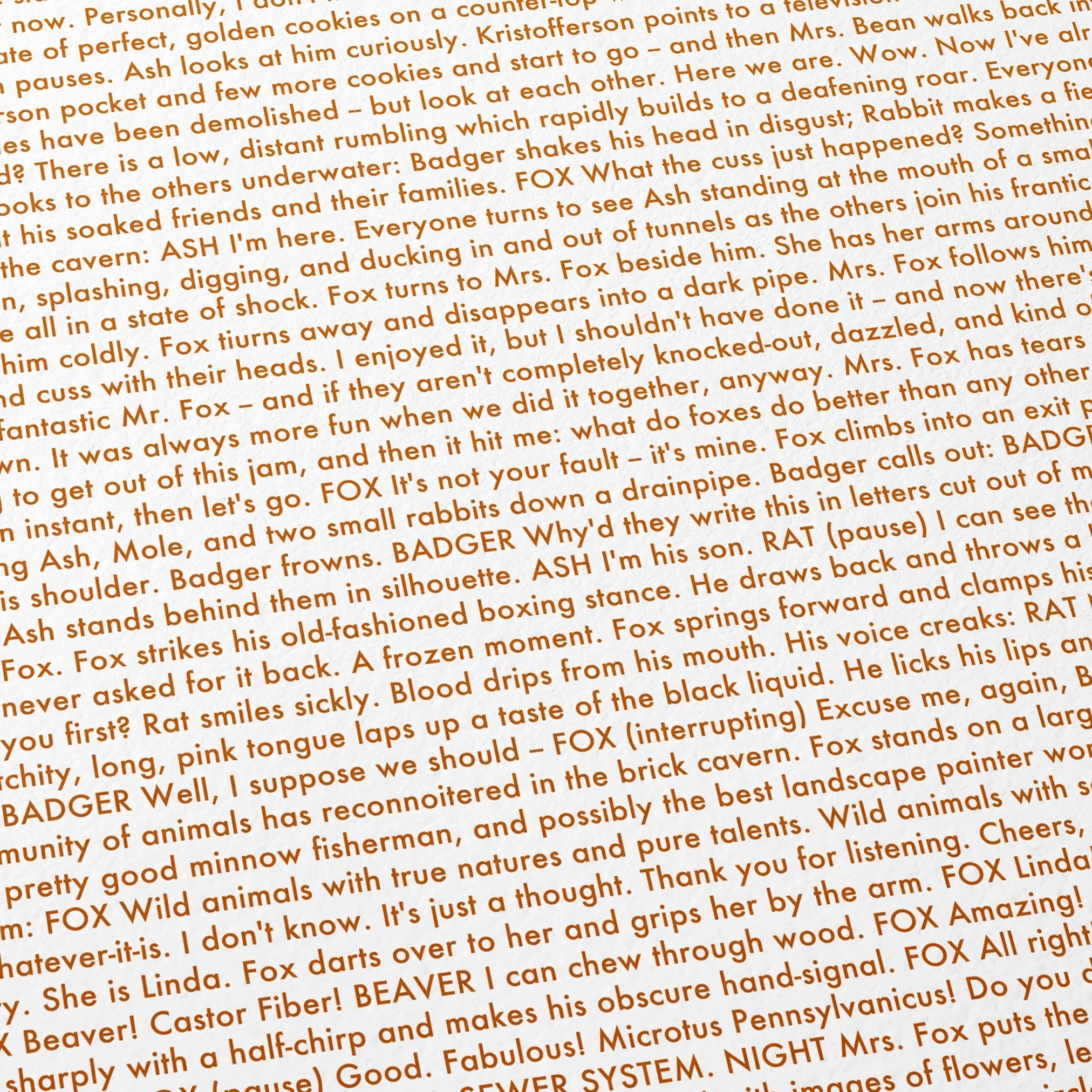 Close-up detail of the Fantastic Mr. Fox movie script poster showing dense typographic text.