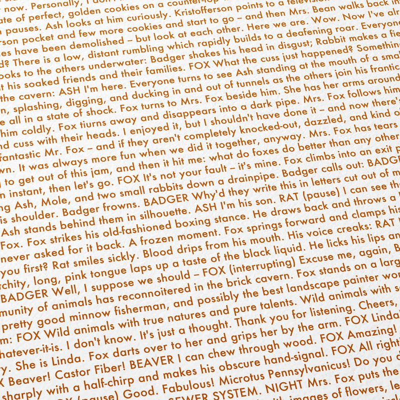 Close-up detail of the Fantastic Mr. Fox movie script poster showing dense typographic text.
