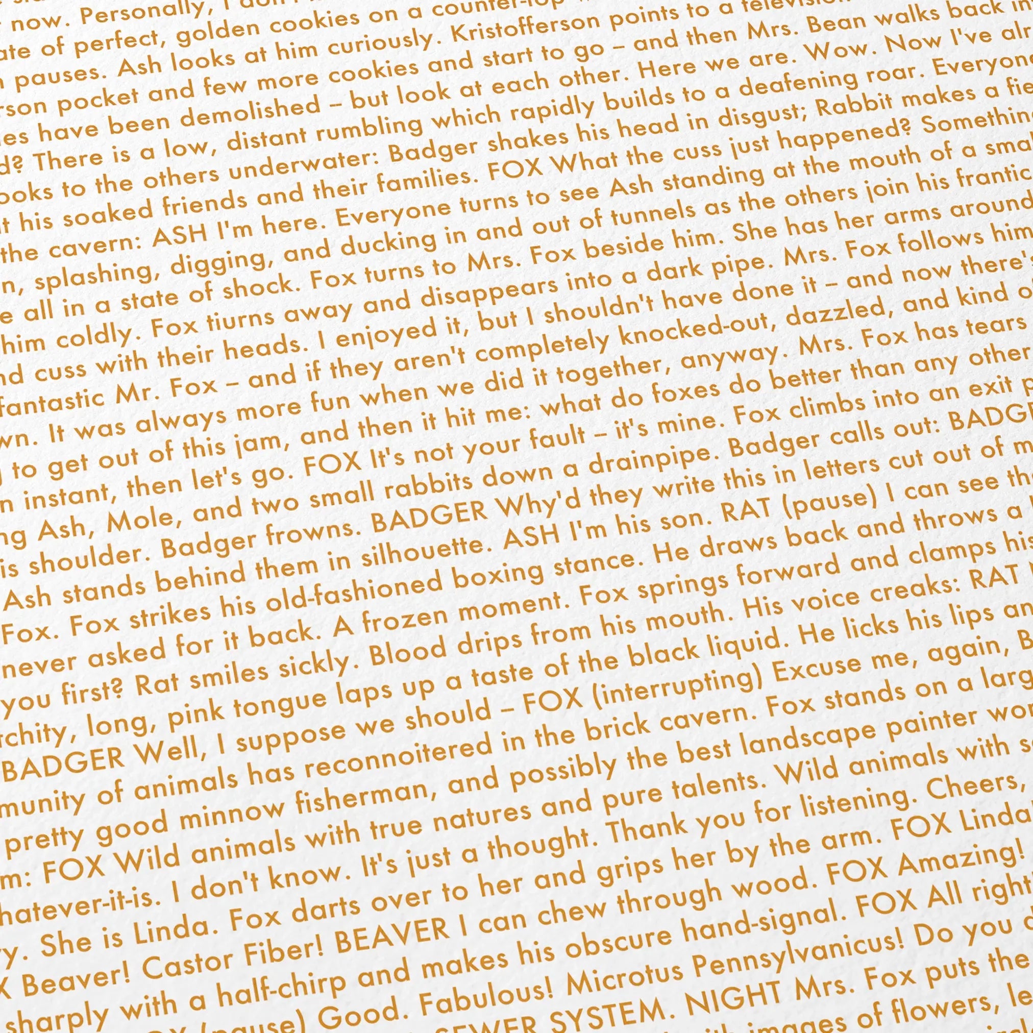 Close-up detail of the Fantastic Mr. Fox movie script poster showing dense typographic text.