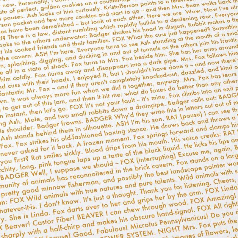Close-up detail of the Fantastic Mr. Fox movie script poster showing dense typographic text.
