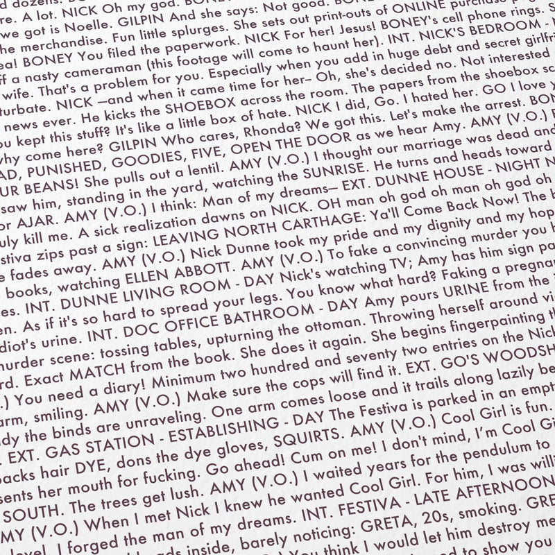 Close-up detail of the Gone Girl movie script poster showing dense typographic text.