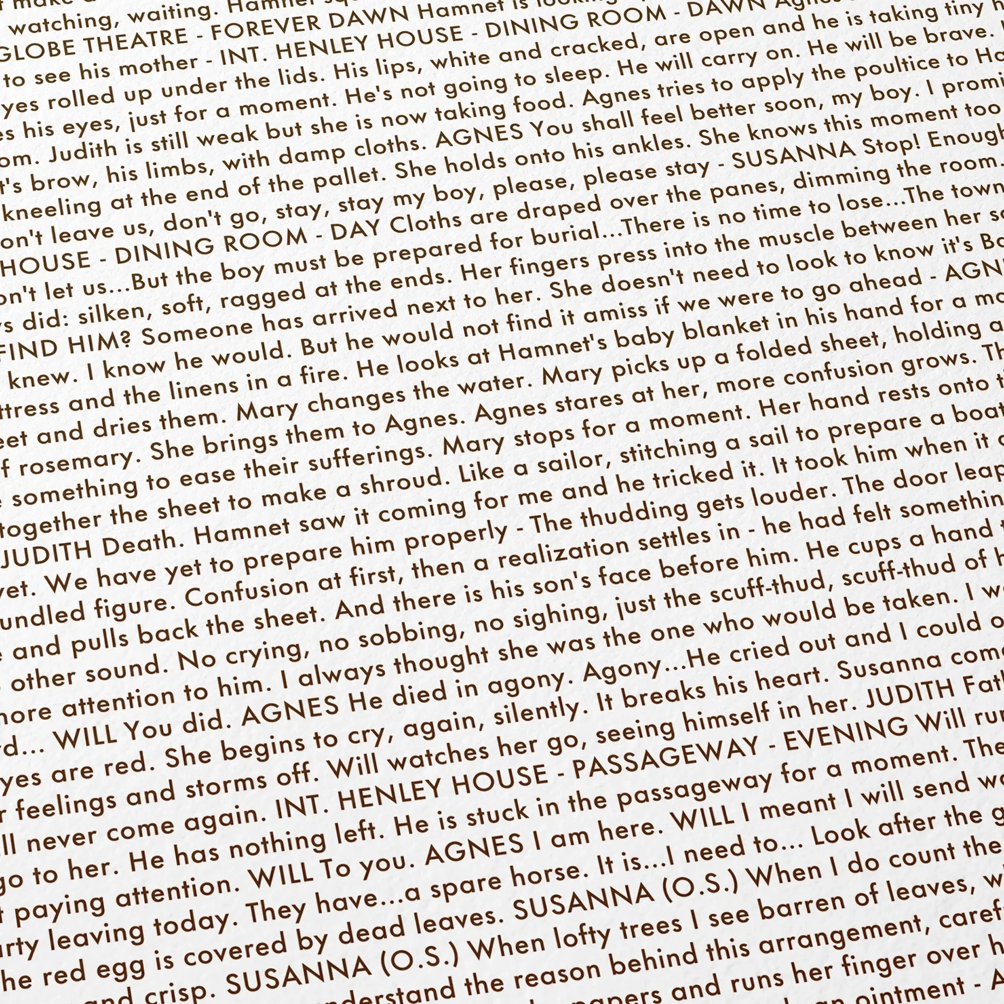 Close-up detail of the Hamnet movie script poster showing dense typographic text.