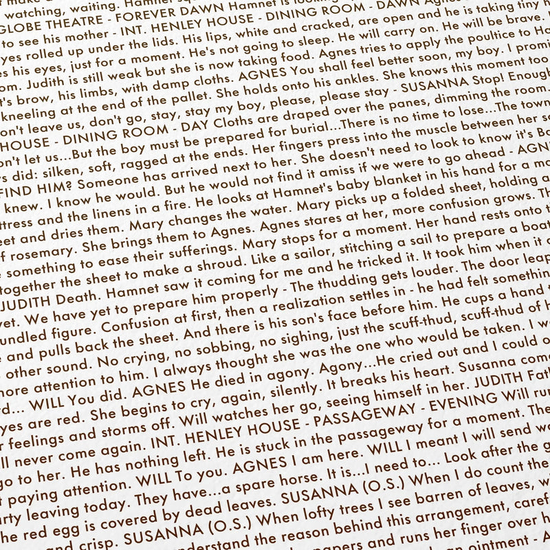 Close-up detail of the Hamnet movie script poster showing dense typographic text.