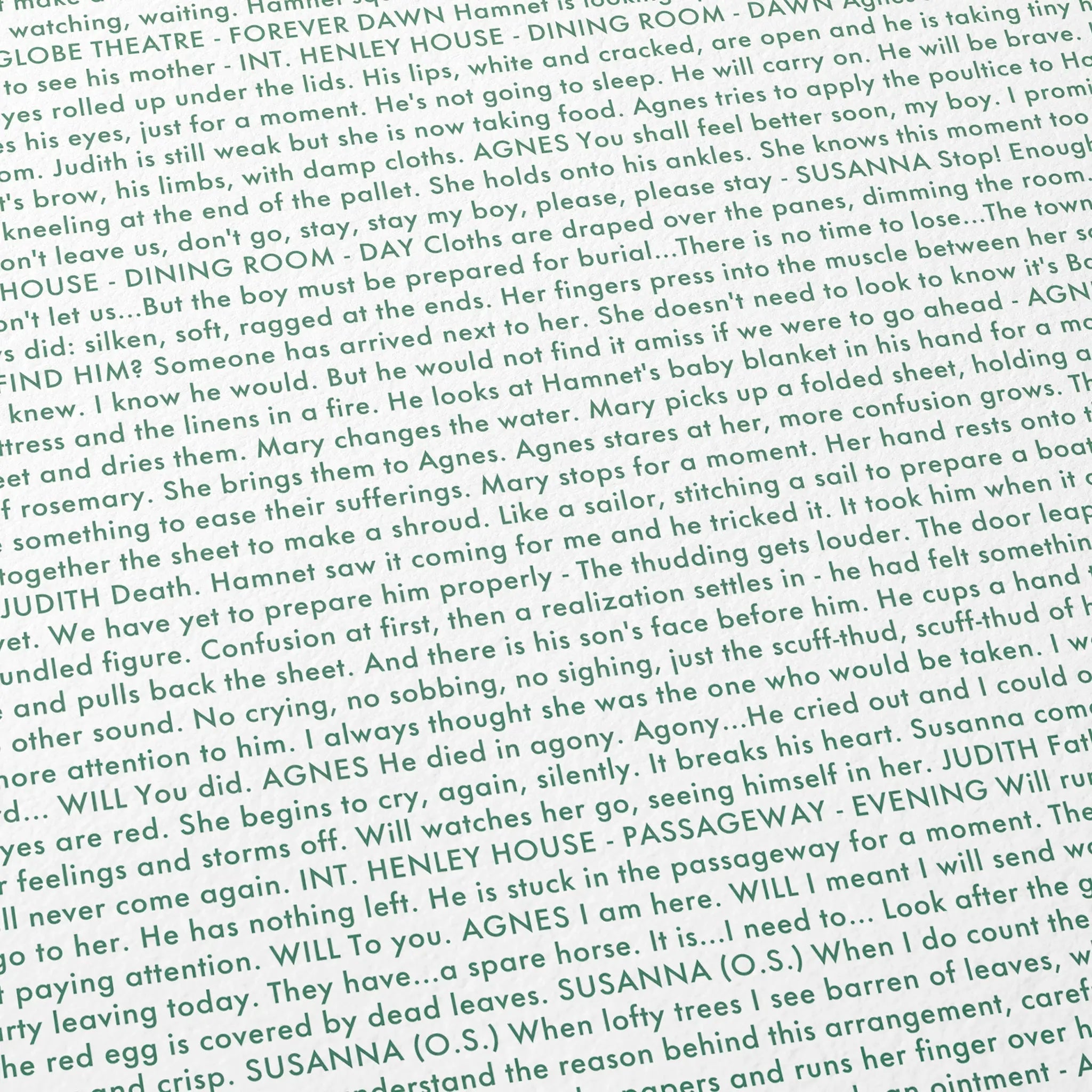 Close-up detail of the Hamnet movie script poster showing dense typographic text.