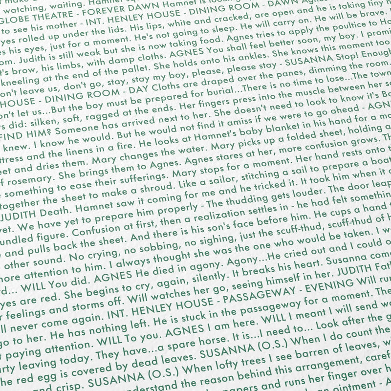 Close-up detail of the Hamnet movie script poster showing dense typographic text.