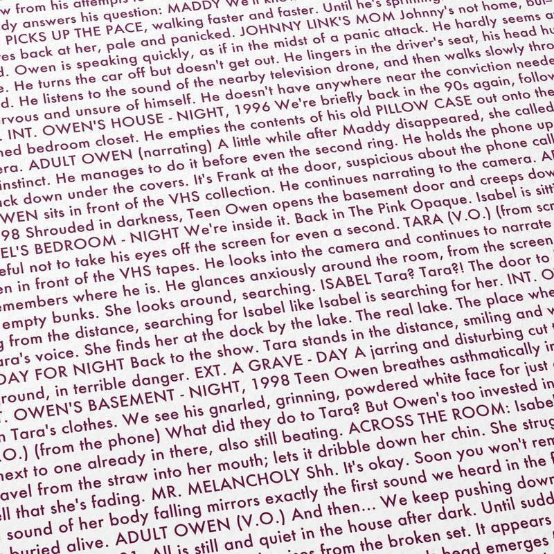 Close-up detail of the I Saw the TV Glow movie script poster showing dense typographic text.