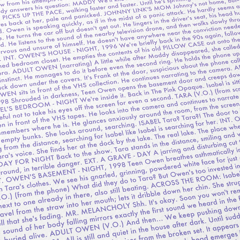 Close-up detail of the I Saw the TV Glow movie script poster showing dense typographic text.