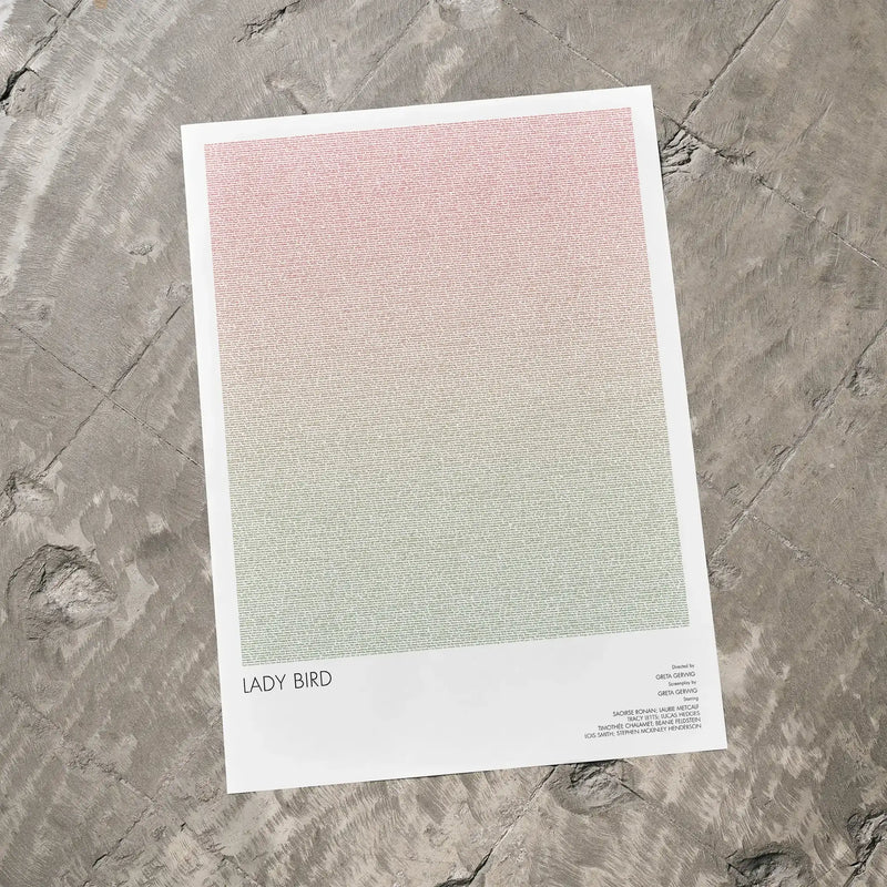 A Lady Bird movie script poster laid flat on a textured floor surface.