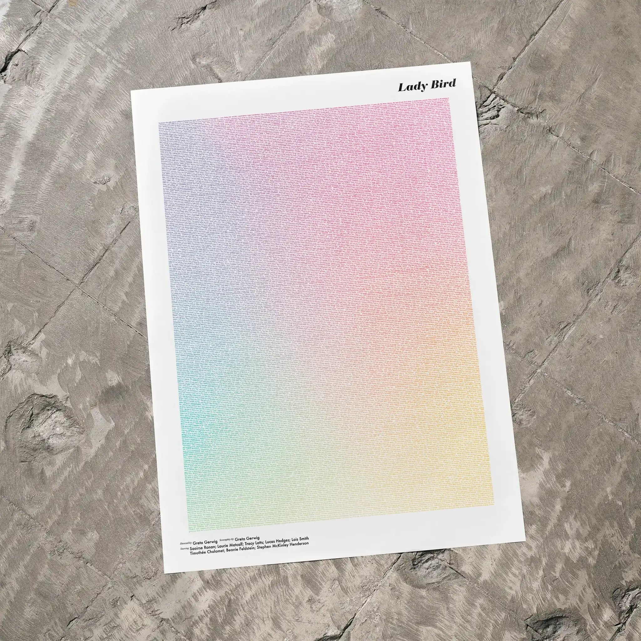 A Lady Bird movie script poster laid flat on a textured floor surface.