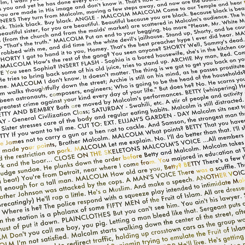 Close up detail of a Malcolm X film poster showing the screenplay.