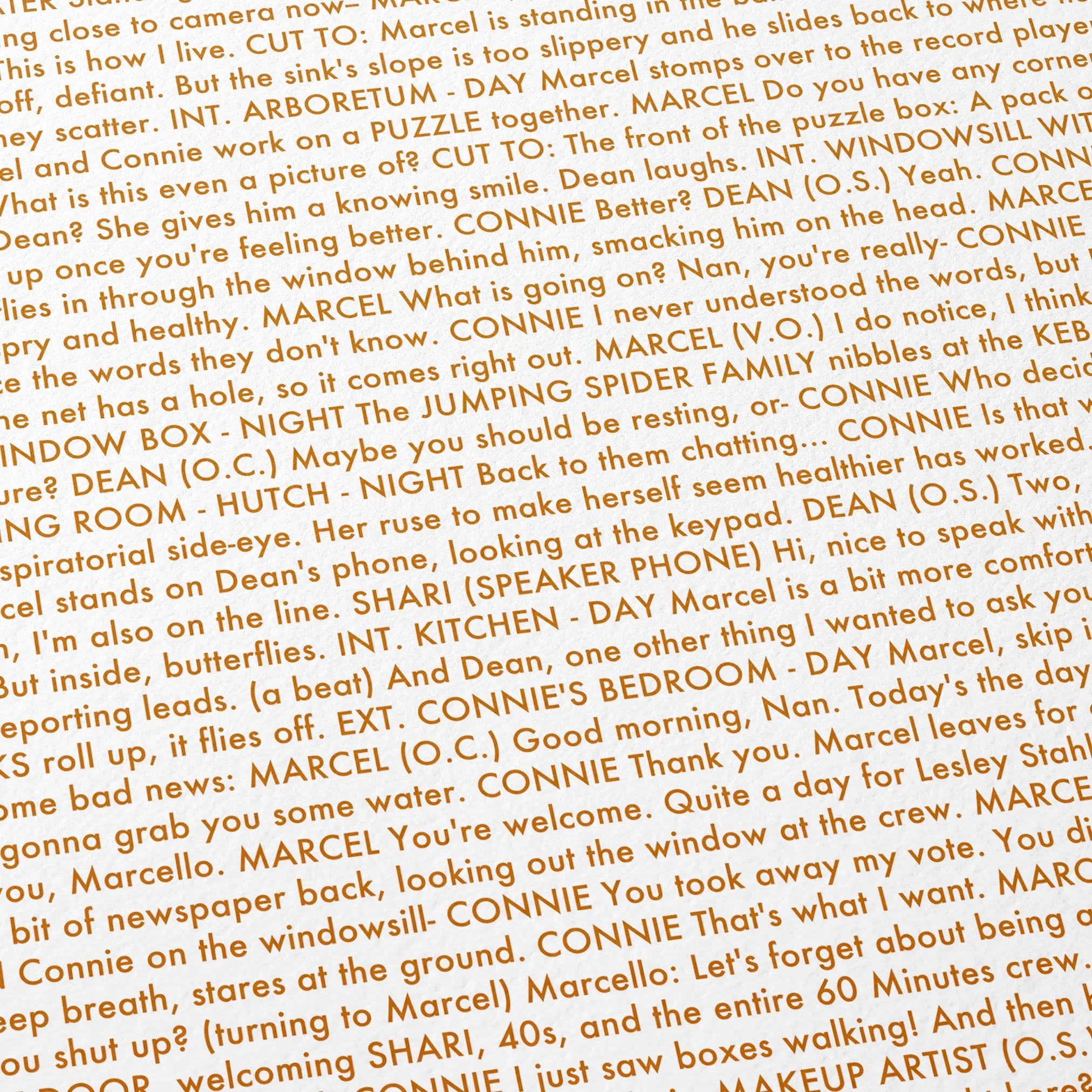 Close-up detail of the Marcel the Shell with Shoes On movie script poster showing dense typographic text.