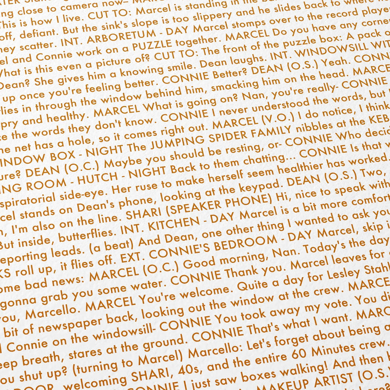 Close-up detail of the Marcel the Shell with Shoes On movie script poster showing dense typographic text.