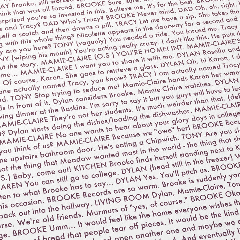 Close-up detail of the Mistress America movie script poster showing dense typographic text.