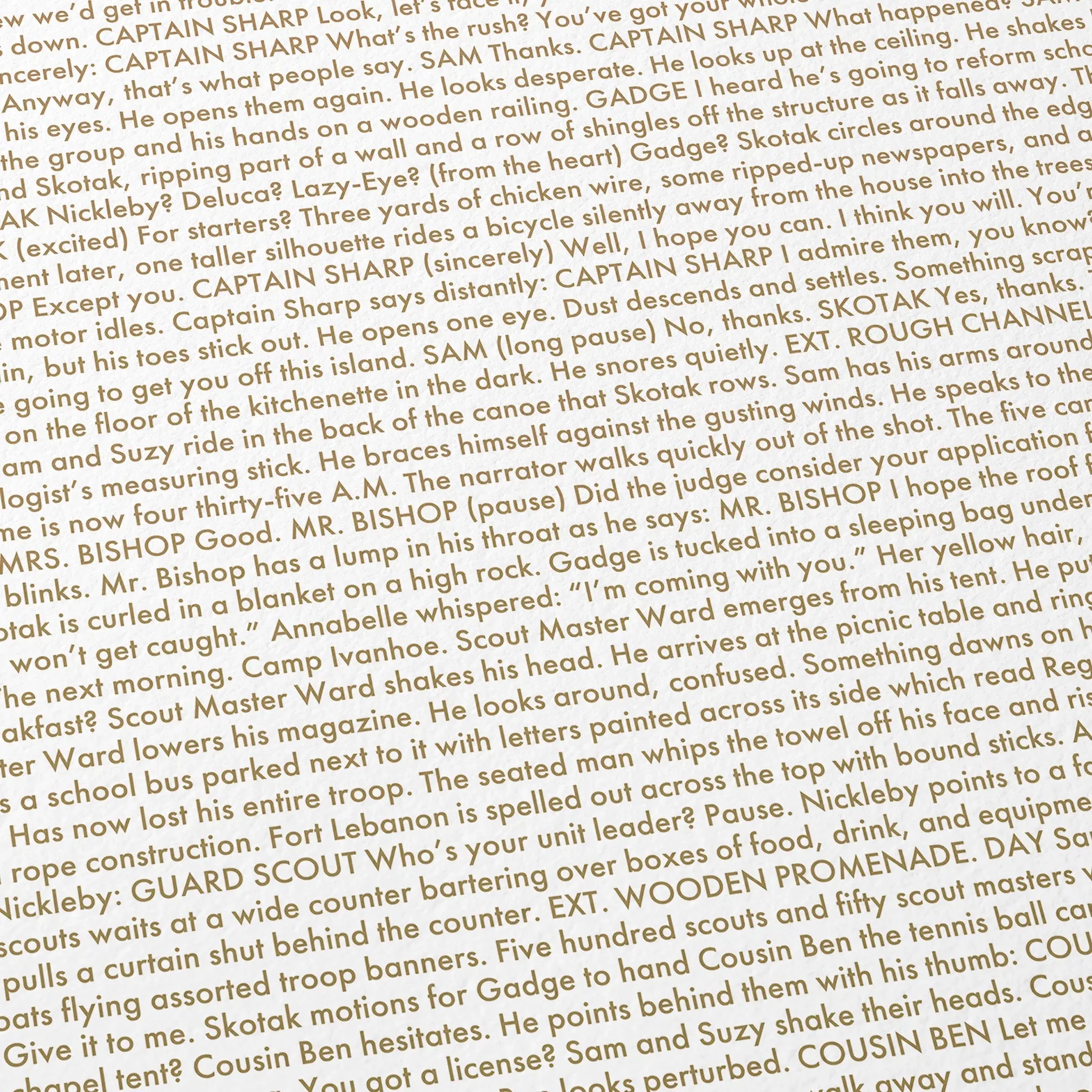 Close-up detail of the Moonrise Kingdom movie script poster showing dense typographic text.