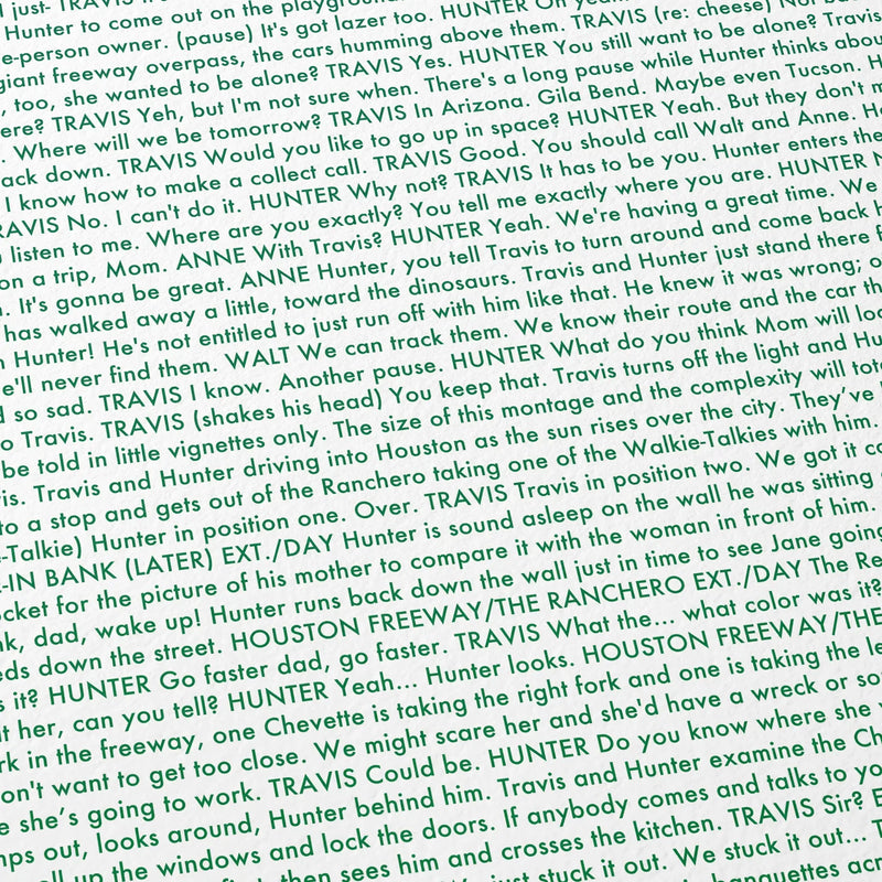 Detail from a Paris, Texas movie script poster showing the screenplay.