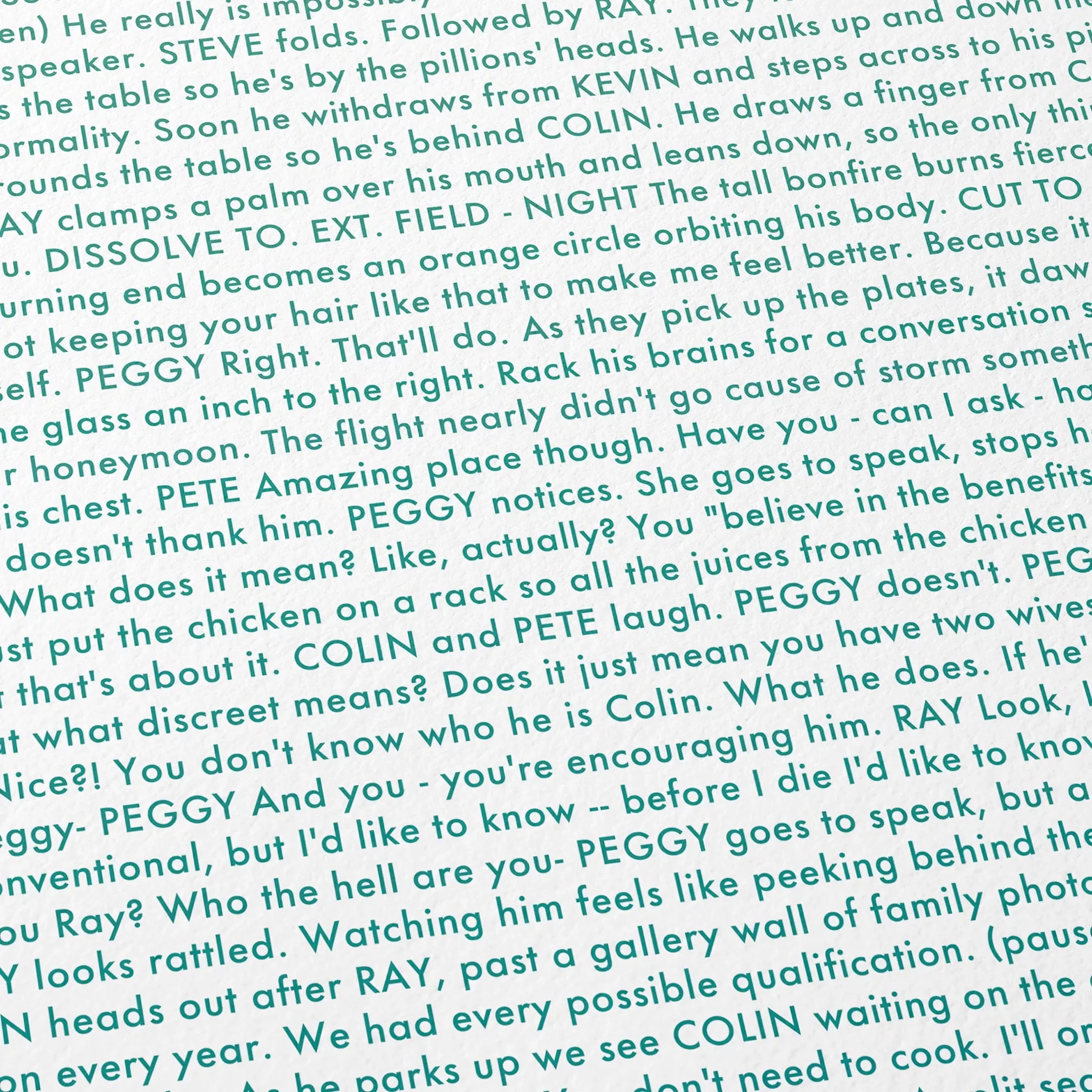 Detail of the script for Pillion