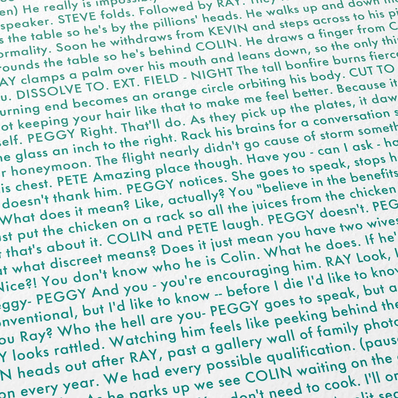 Detail of the script for Pillion