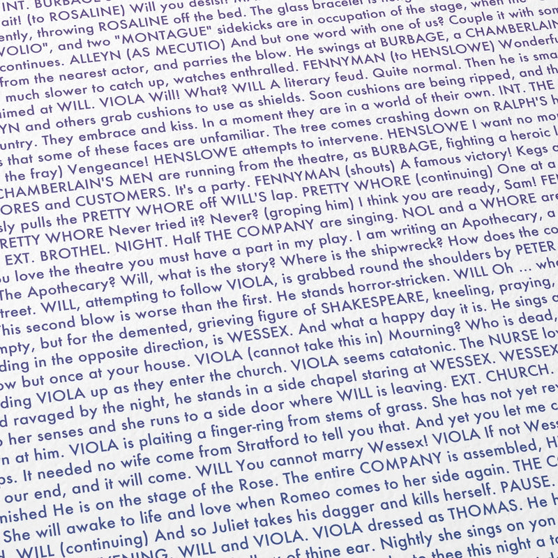 Close-up detail of the Shakespeare in Love movie script poster showing dense typographic text.