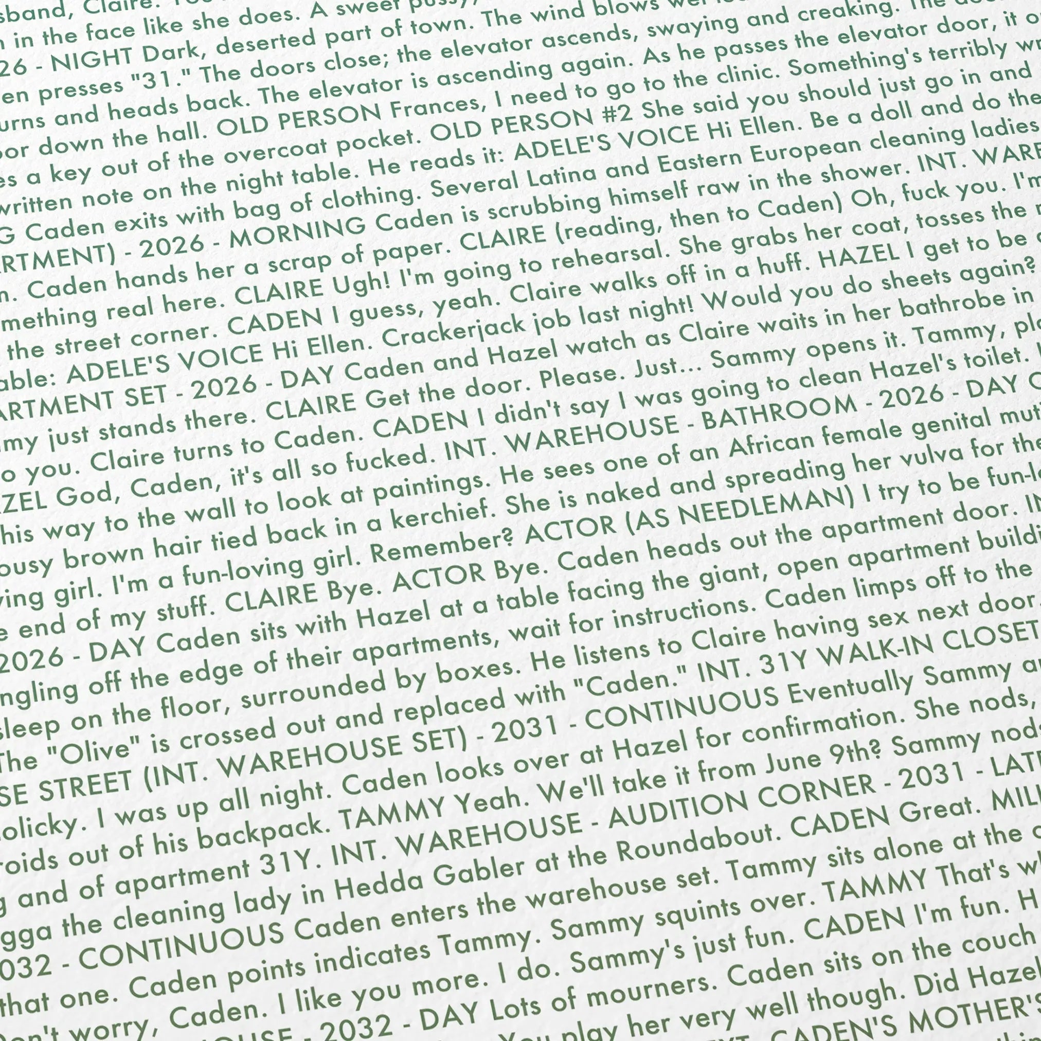 Close-up detail of the Synecdoche, New York movie script poster showing dense typographic text.