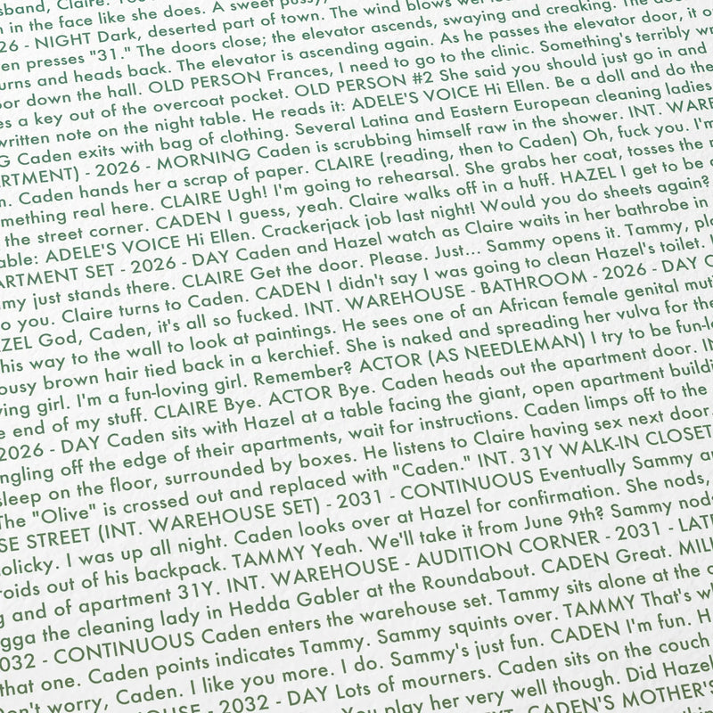 Close-up detail of the Synecdoche, New York movie script poster showing dense typographic text.