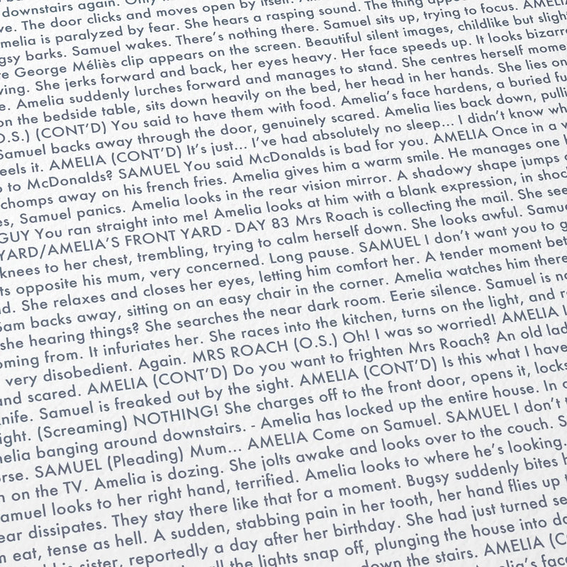 Close-up detail of the The Babadook movie script poster showing dense typographic text.
