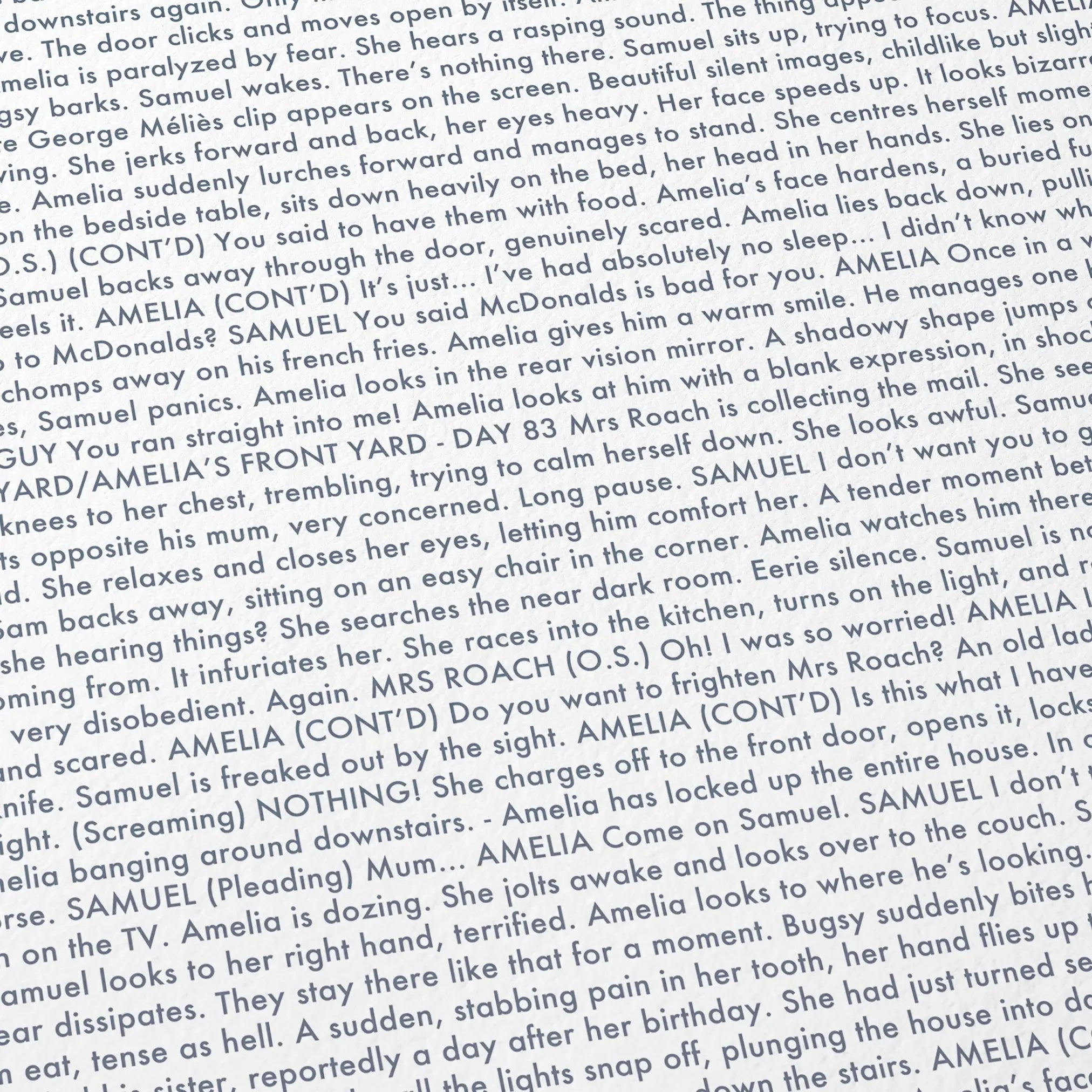 Close-up detail of the The Babadook movie script poster showing dense typographic text.