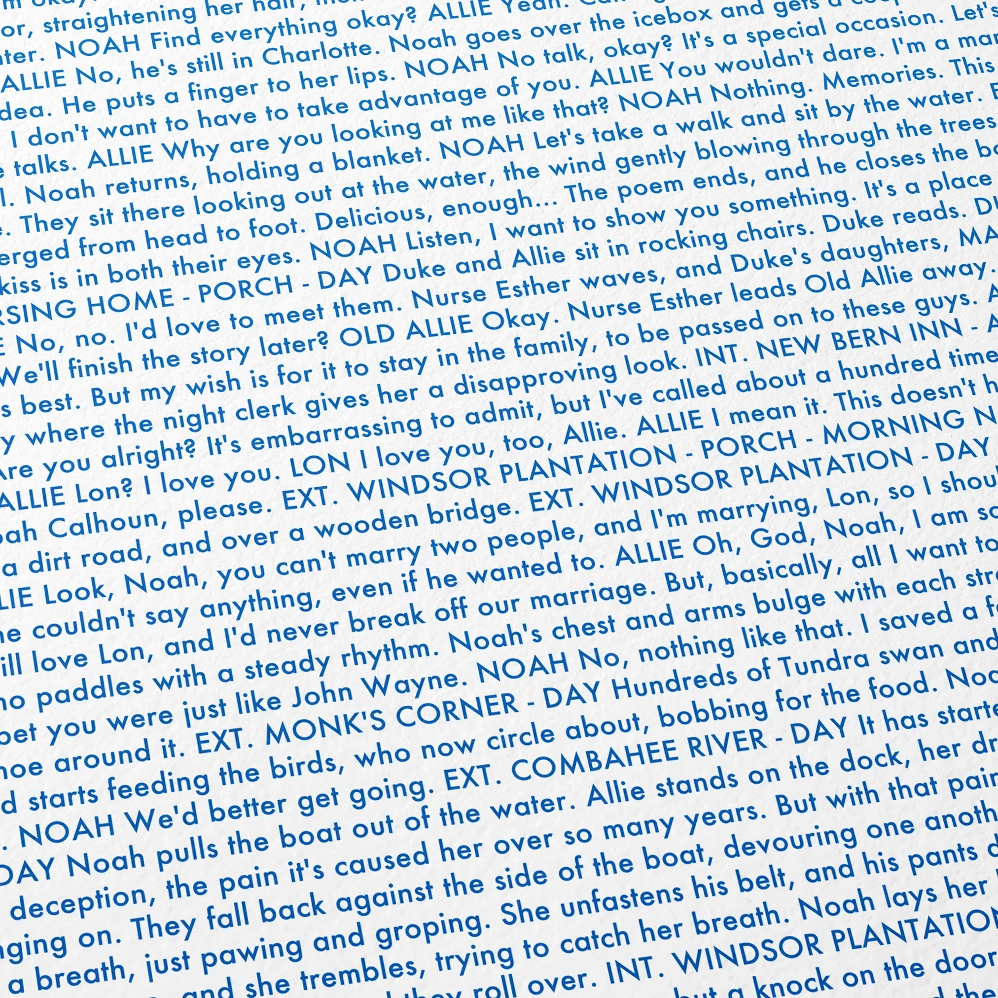 Close-up detail of the The Notebook movie script poster showing dense typographic text.