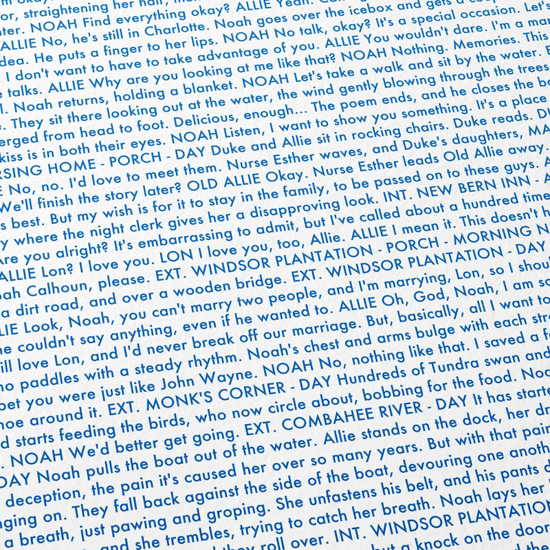 Close-up detail of the The Notebook movie script poster showing dense typographic text.