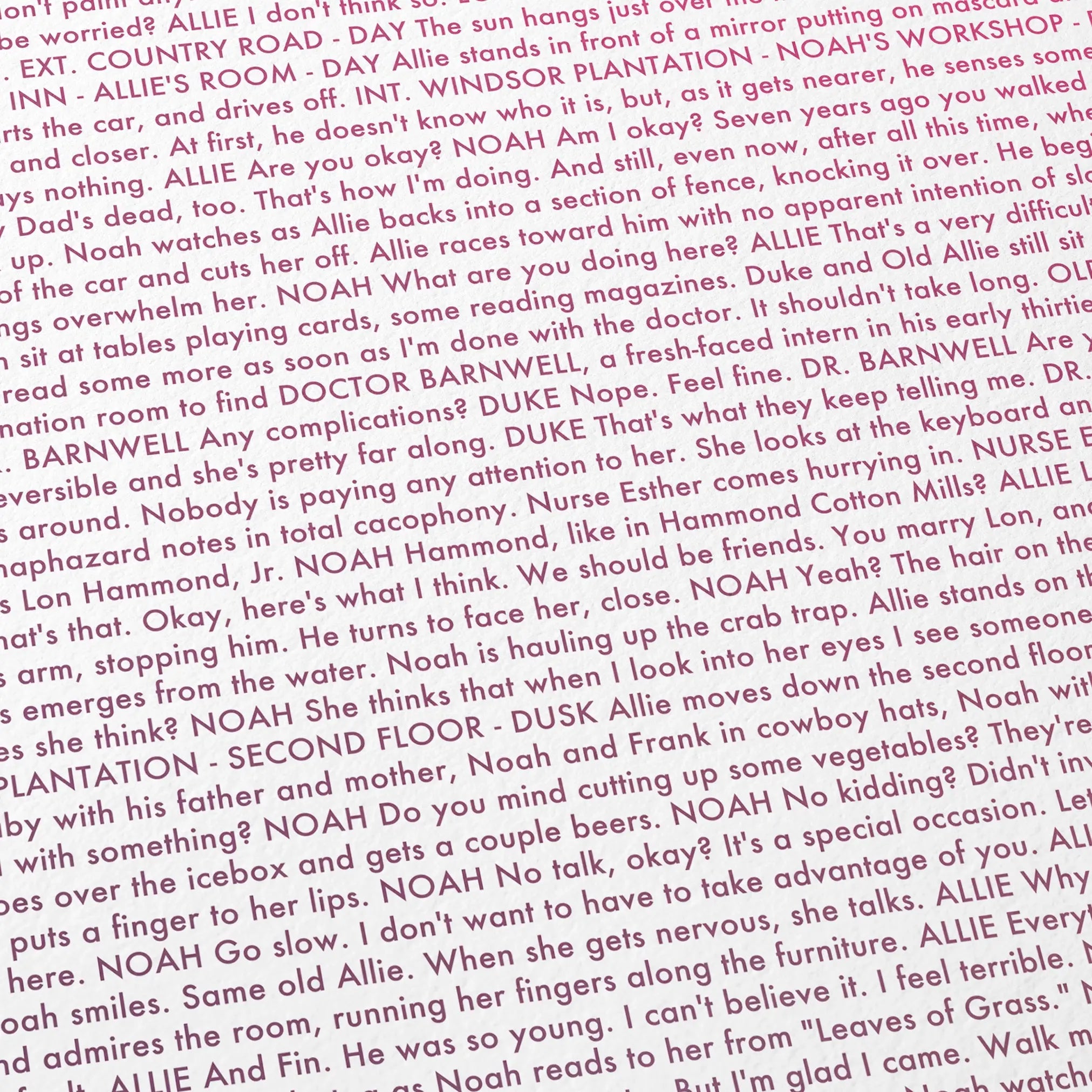 Close-up detail of the The Notebook movie script poster showing dense typographic text.