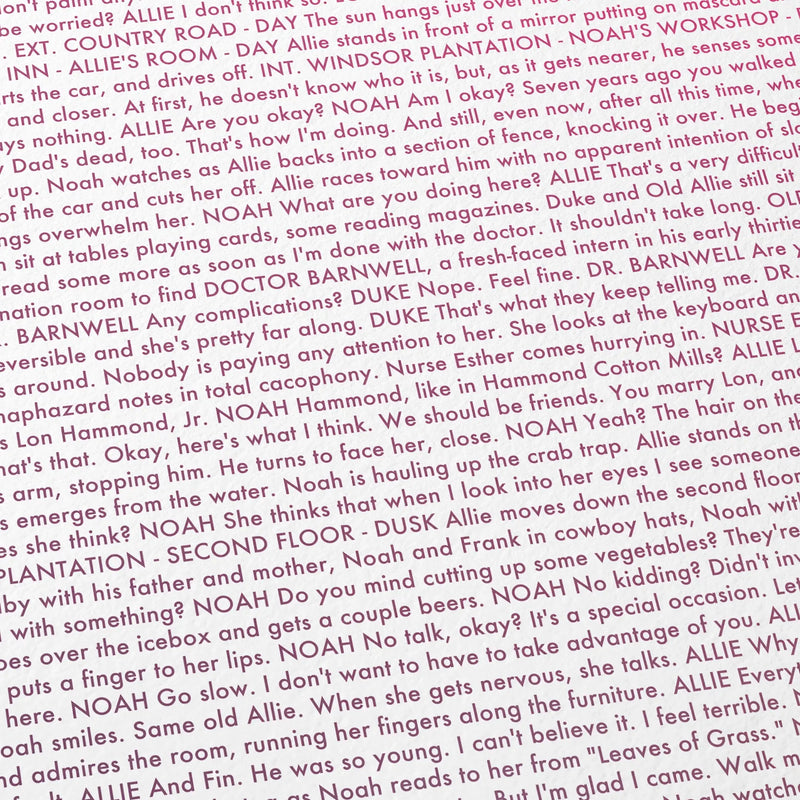 Close-up detail of the The Notebook movie script poster showing dense typographic text.