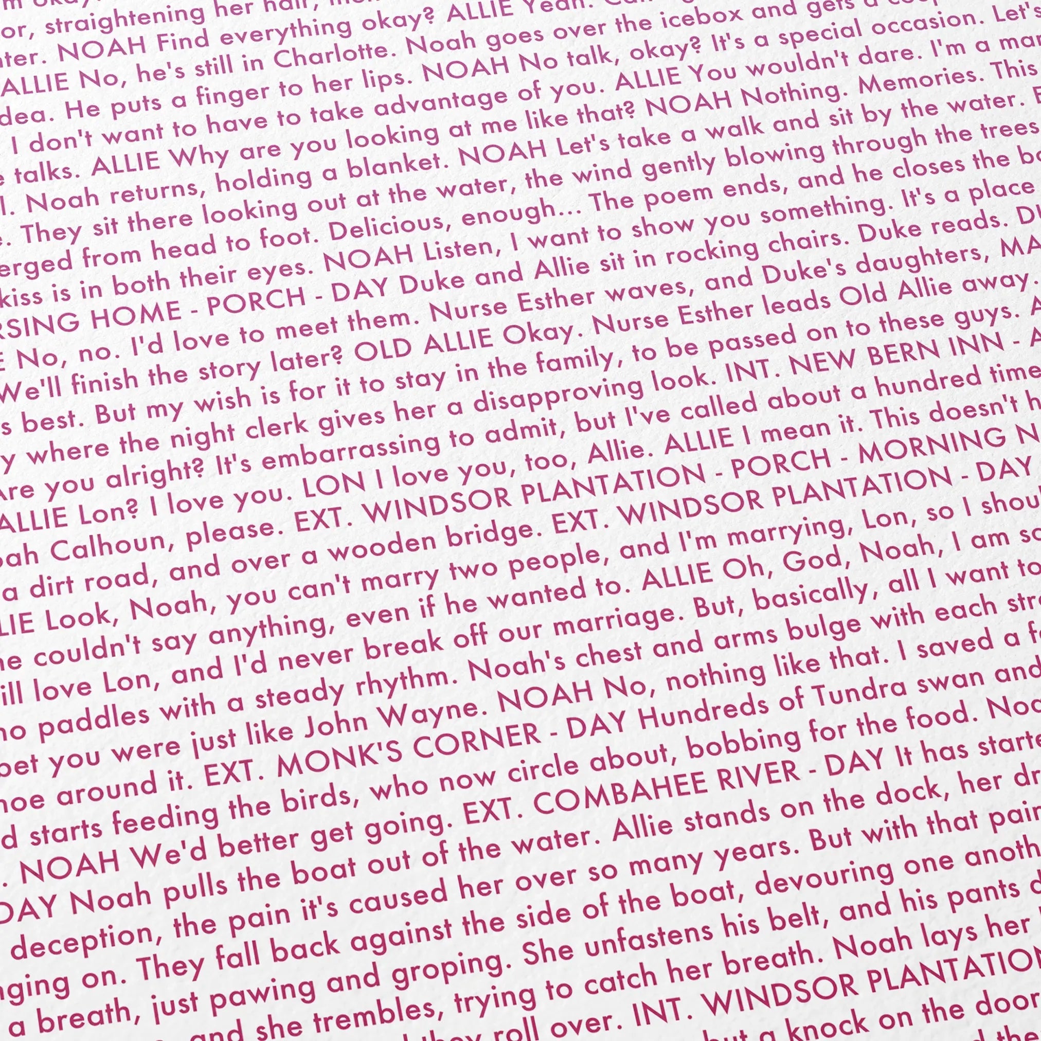 Close-up detail of the The Notebook movie script poster showing dense typographic text.