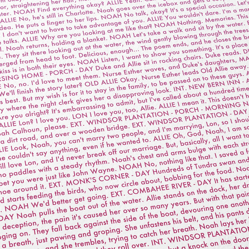 Close-up detail of the The Notebook movie script poster showing dense typographic text.