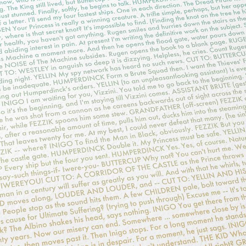 Close-up detail of the The Princess Bride movie script poster showing dense typographic text.