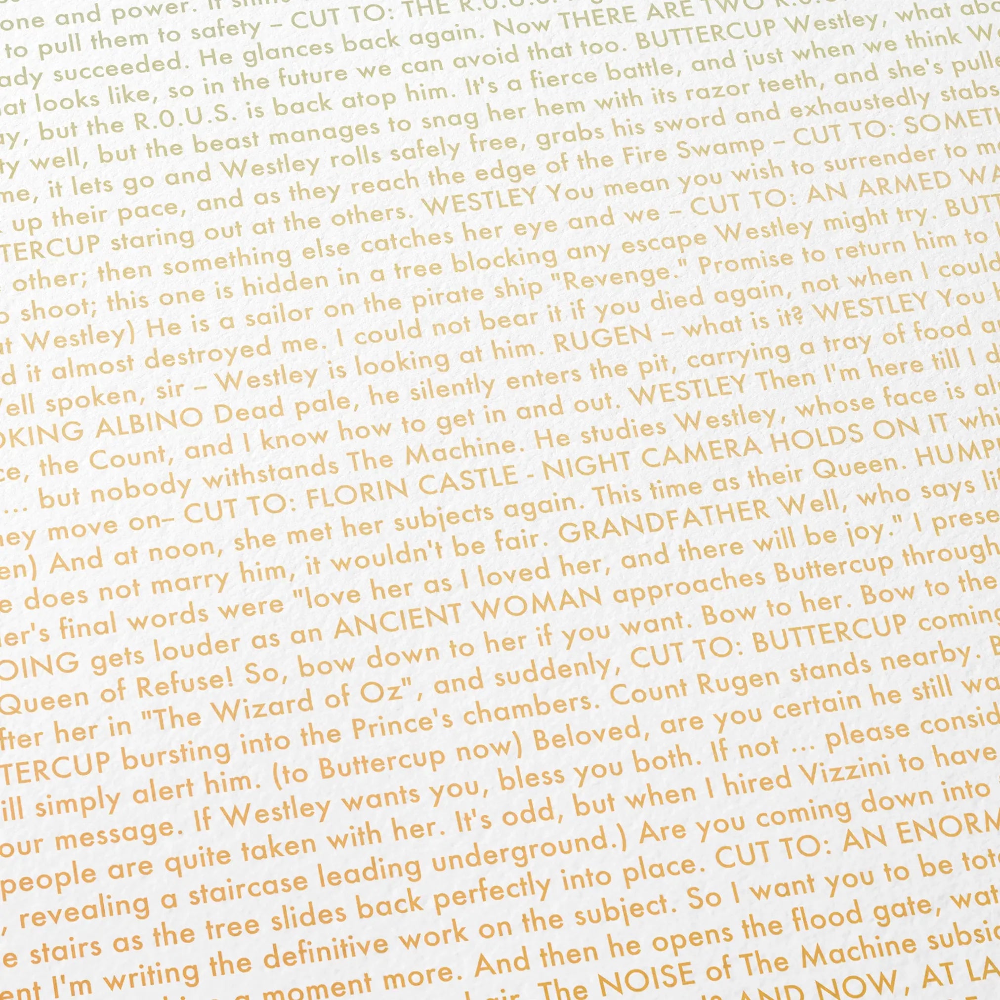 Close-up detail of the The Princess Bride movie script poster showing dense typographic text.