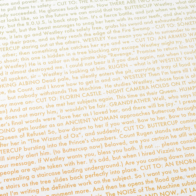 Close-up detail of the The Princess Bride movie script poster showing dense typographic text.