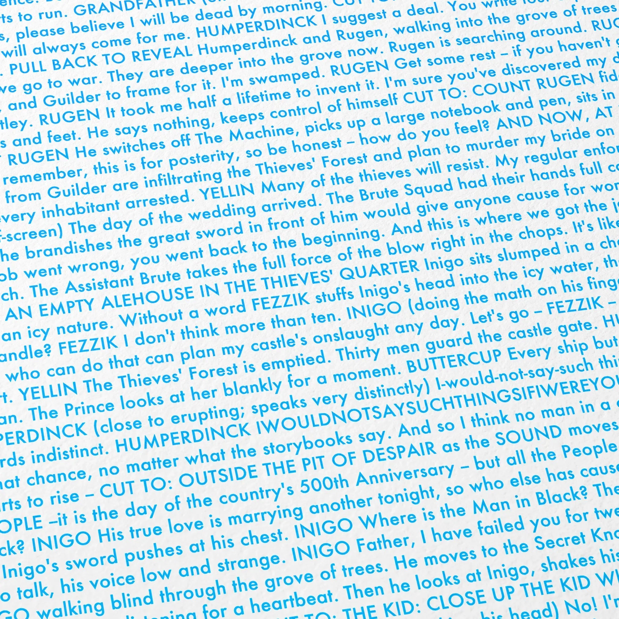 Close-up detail of the The Princess Bride movie script poster showing dense typographic text.